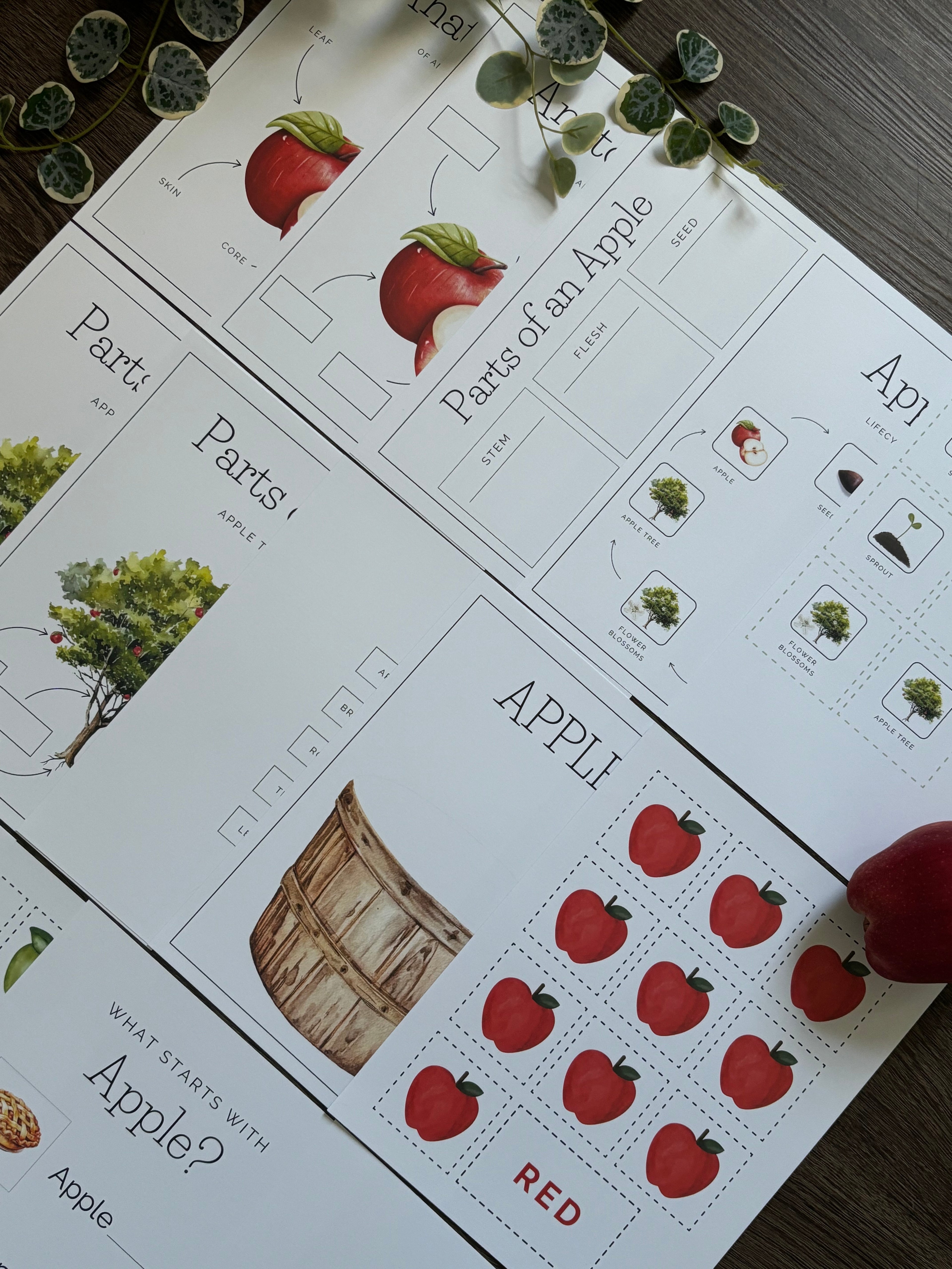 Homeschool Printable: Apple Unit Study