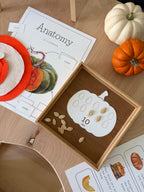 Homeschool Printable: Pumpkin Unit Study