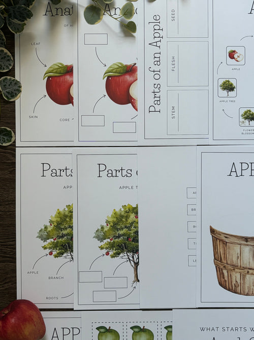 Homeschool Printable: Apple Unit Study