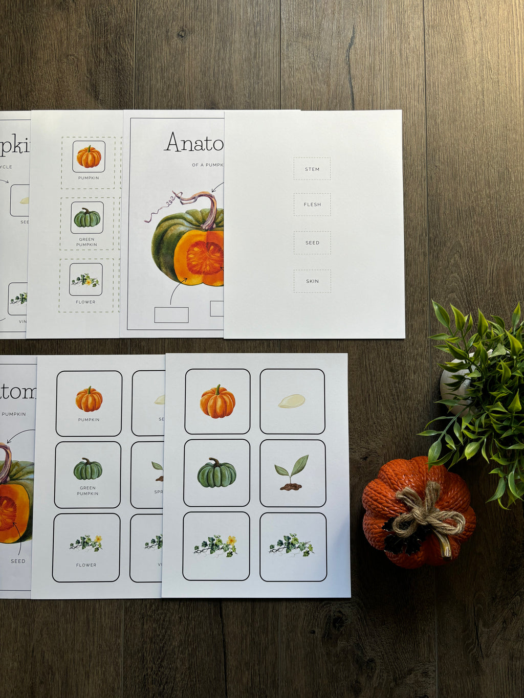 Homeschool Printable: Pumpkin Unit Study