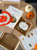 Homeschool Printable: Pumpkin Unit Study