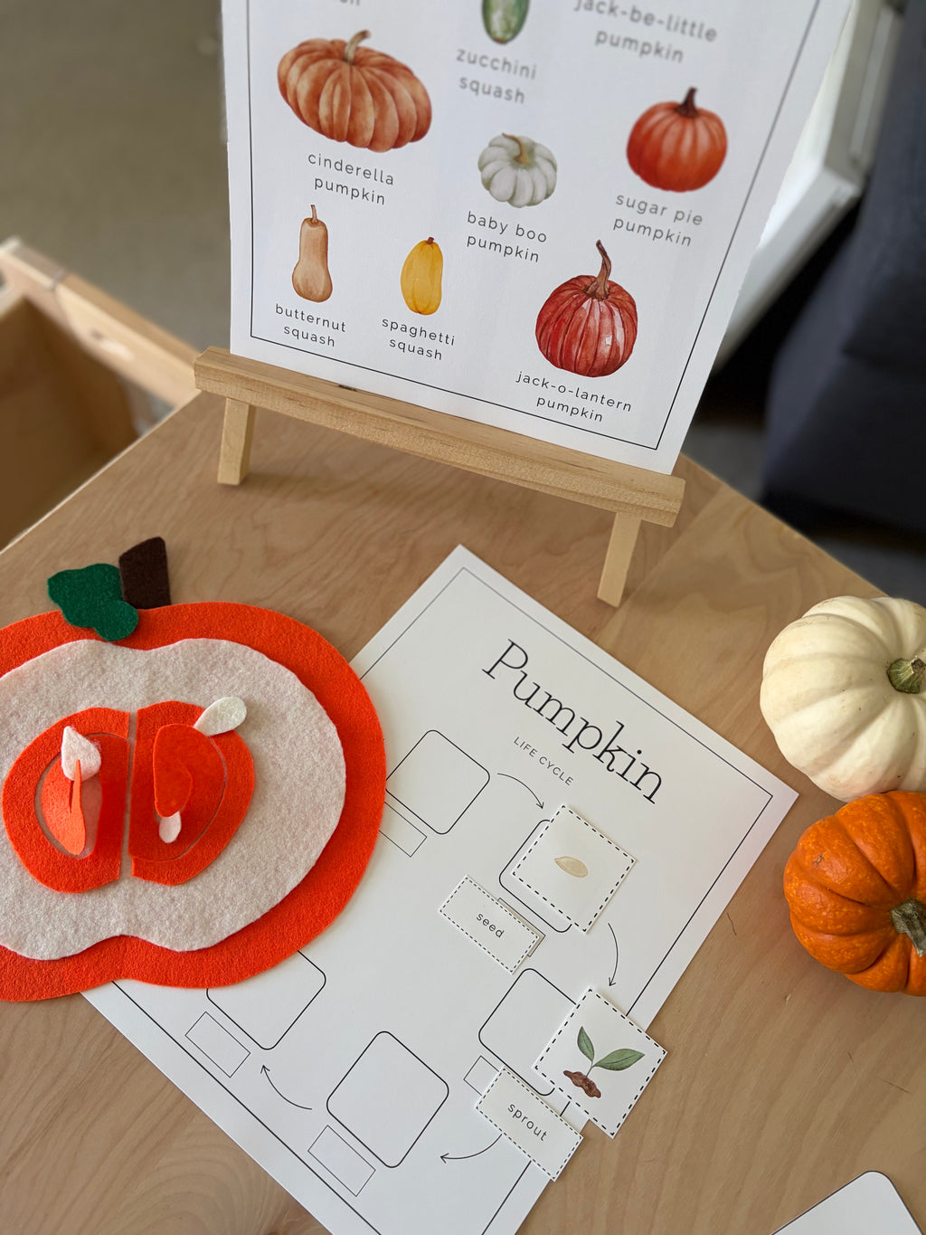 Homeschool Printable: Pumpkin Unit Study