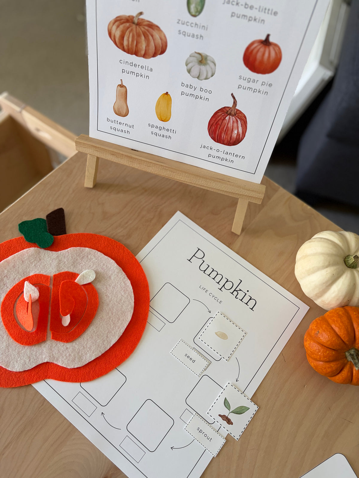Homeschool Printable: Pumpkin Unit Study