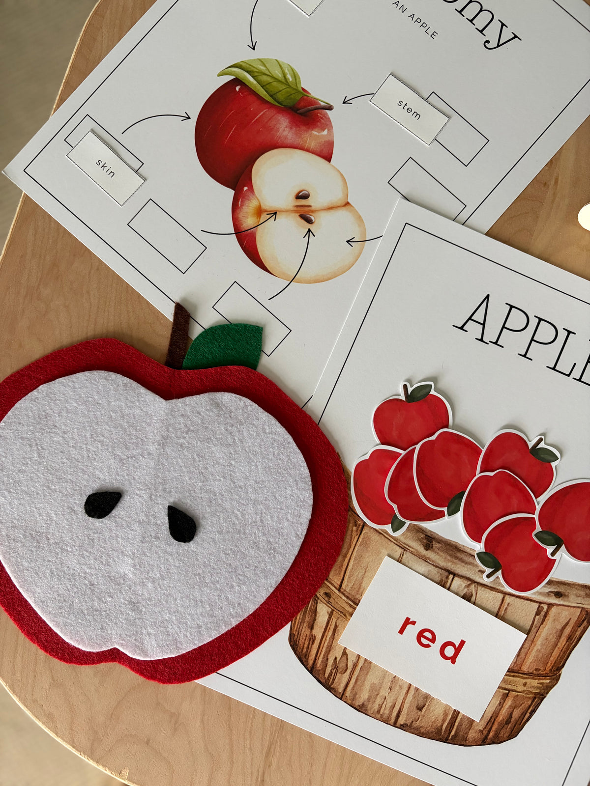 Homeschool Printable: Apple Unit Study