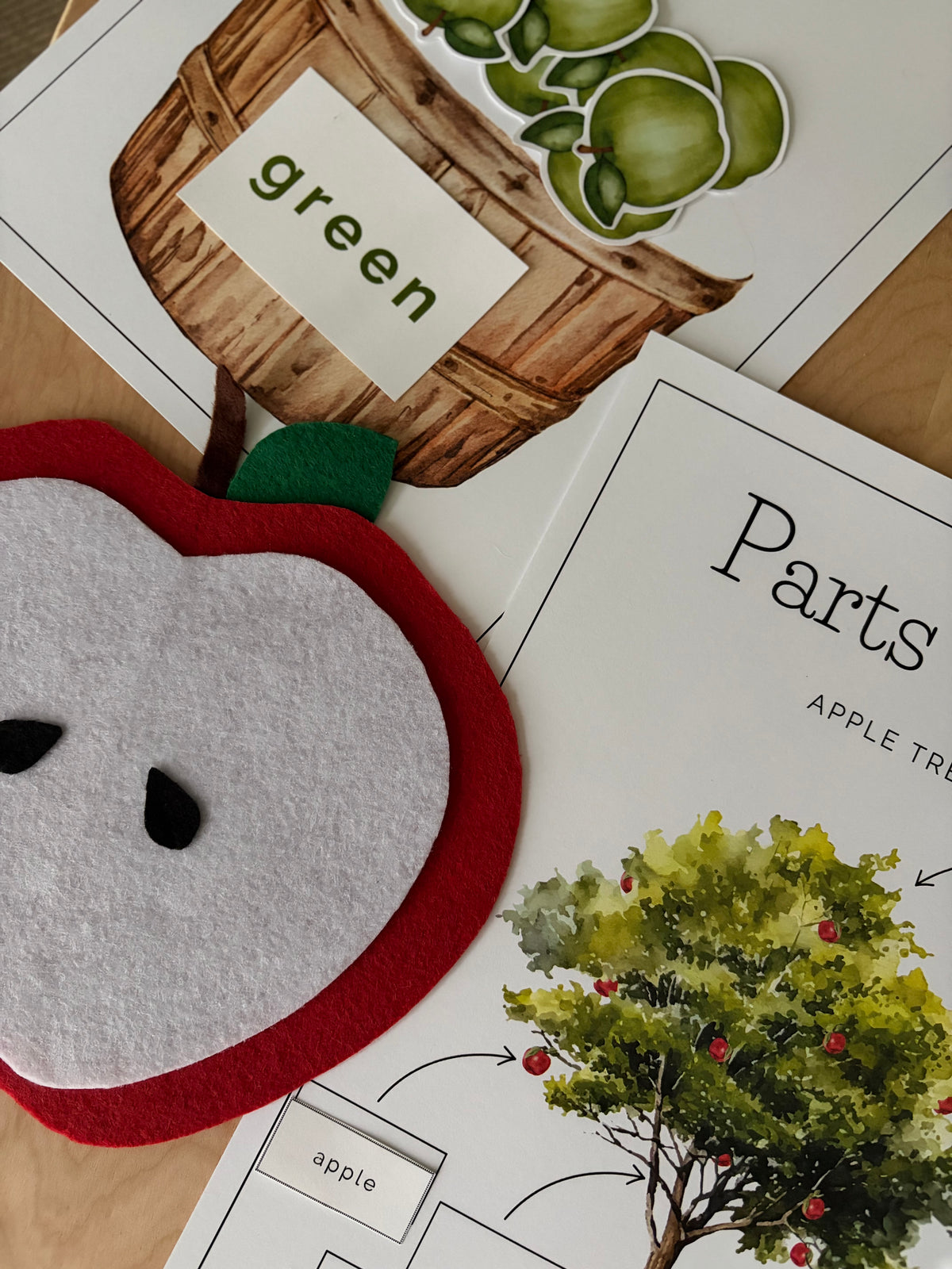 Homeschool Printable: Apple Unit Study