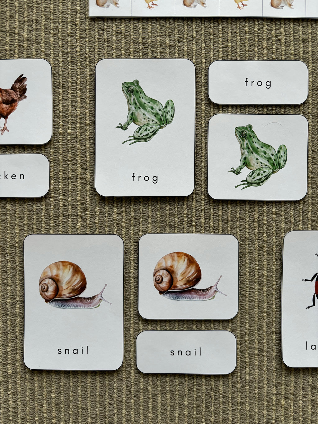 Homeschool Printable: Spring Easter Unit Study