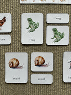 Homeschool Printable: Spring Easter Unit Study