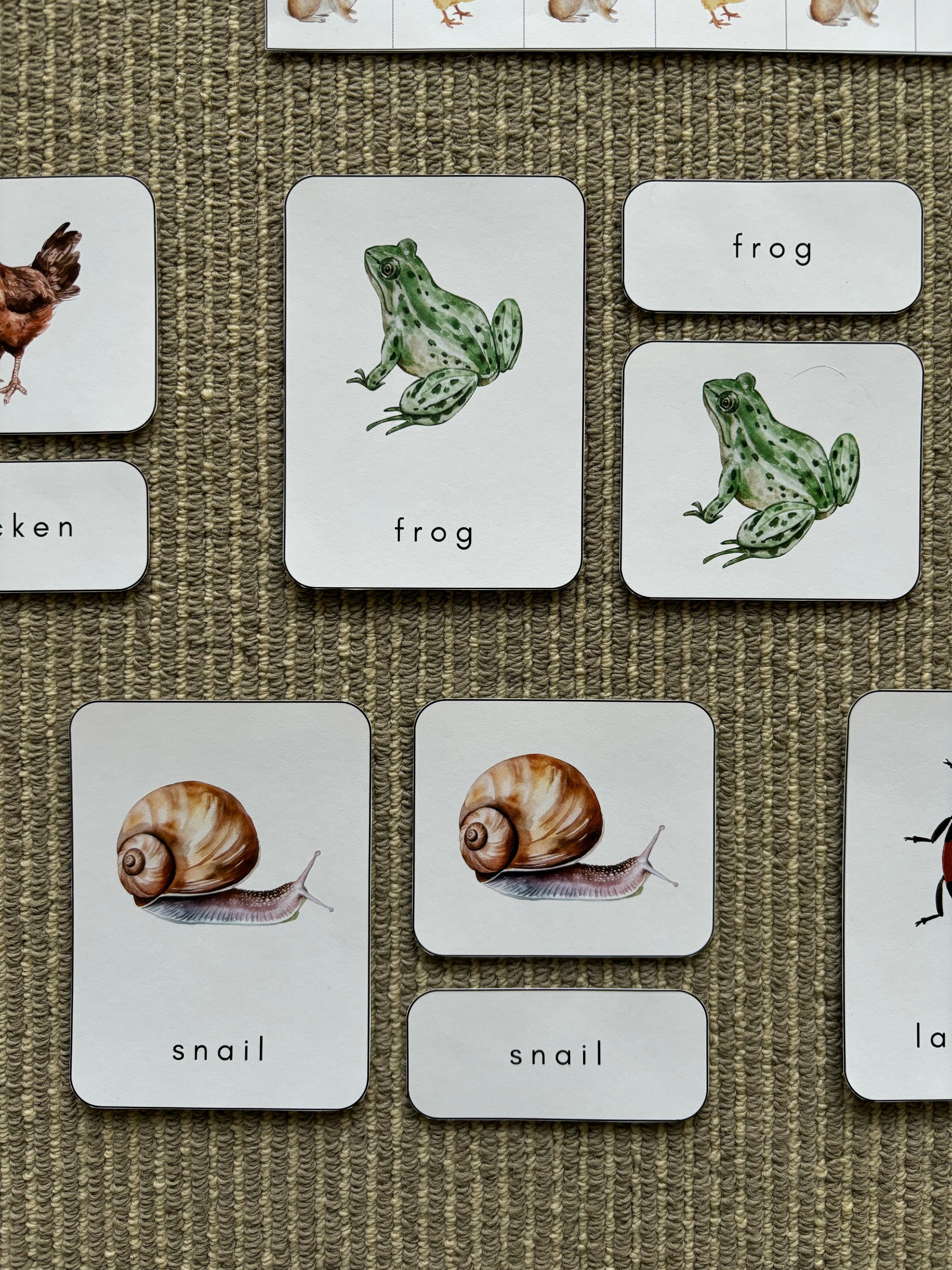 Homeschool Printable: Spring Easter Unit Study