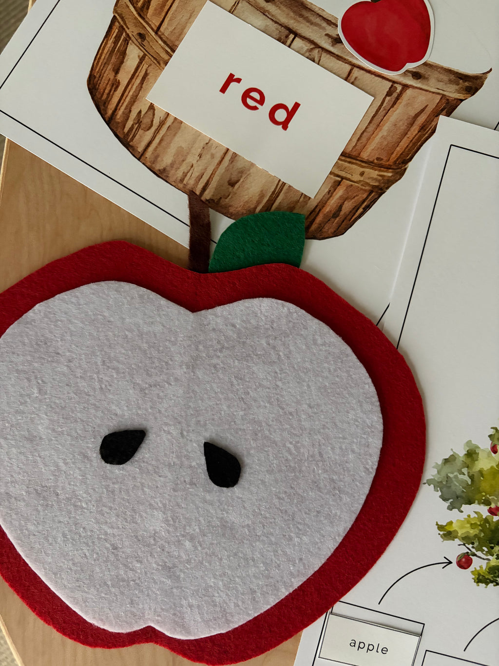 Homeschool Printable: Apple Unit Study