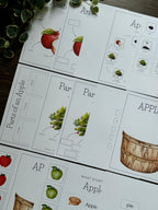 Homeschool Printable: Apple Unit Study