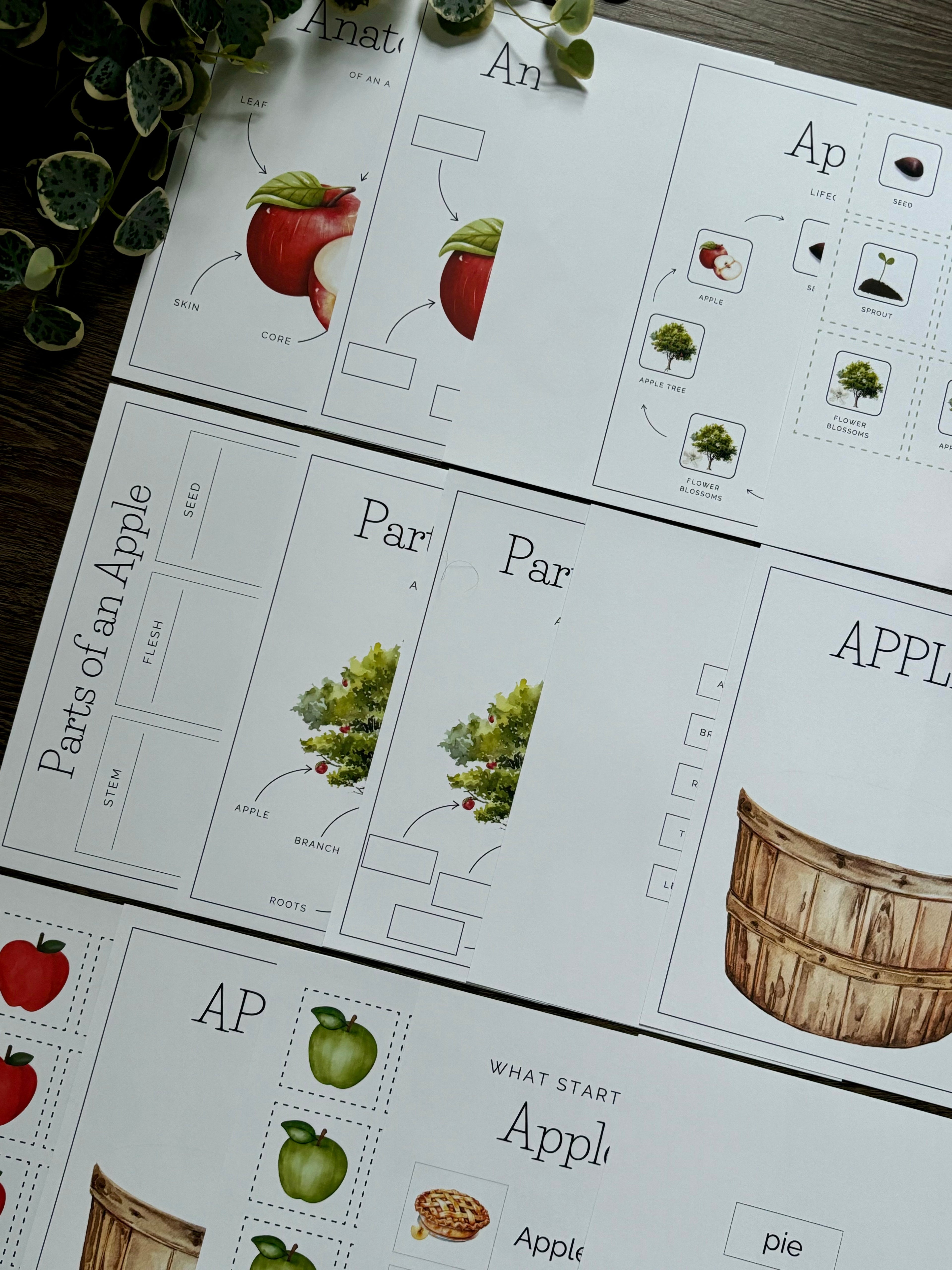 Homeschool Printable: Apple Unit Study