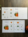 Homeschool Printable: Pumpkin Unit Study