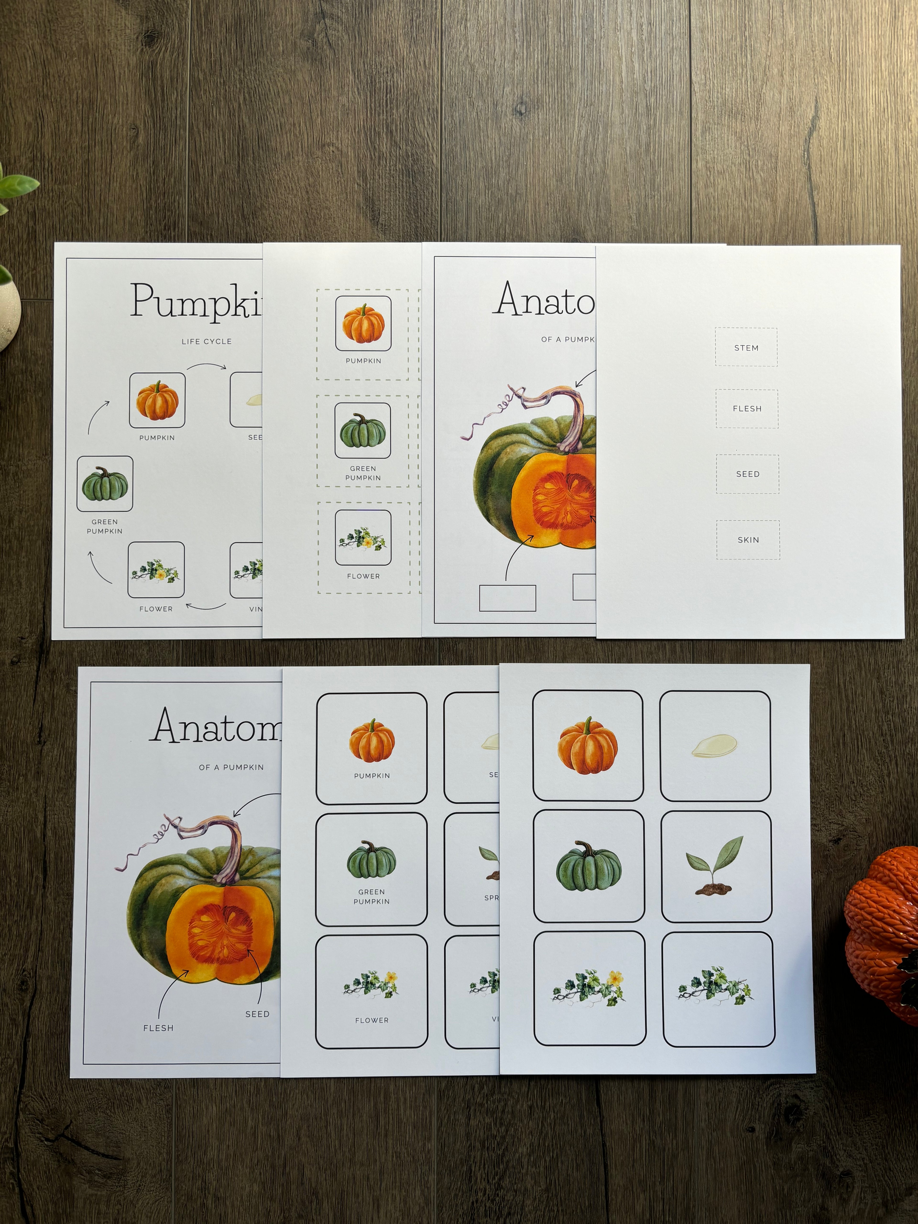 Homeschool Printable: Pumpkin Unit Study