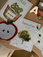 Homeschool Printable: Apple Unit Study