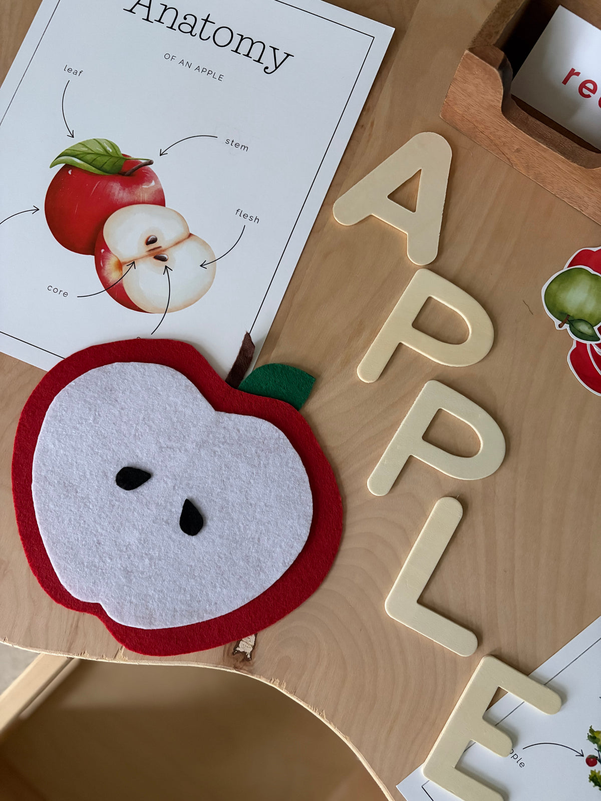 Homeschool Printable: Apple Unit Study