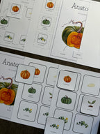 Homeschool Printable: Pumpkin Unit Study