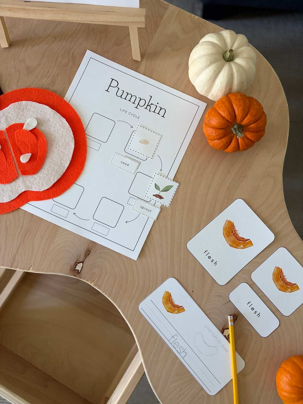 Homeschool Printable: Pumpkin Unit Study