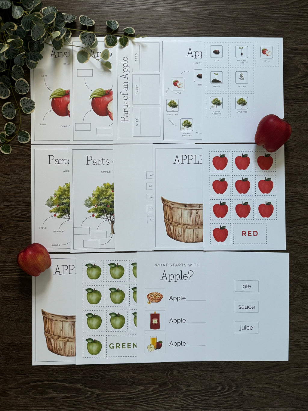 Homeschool Printable: Apple Unit Study
