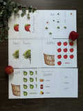 Homeschool Printable: Apple Unit Study