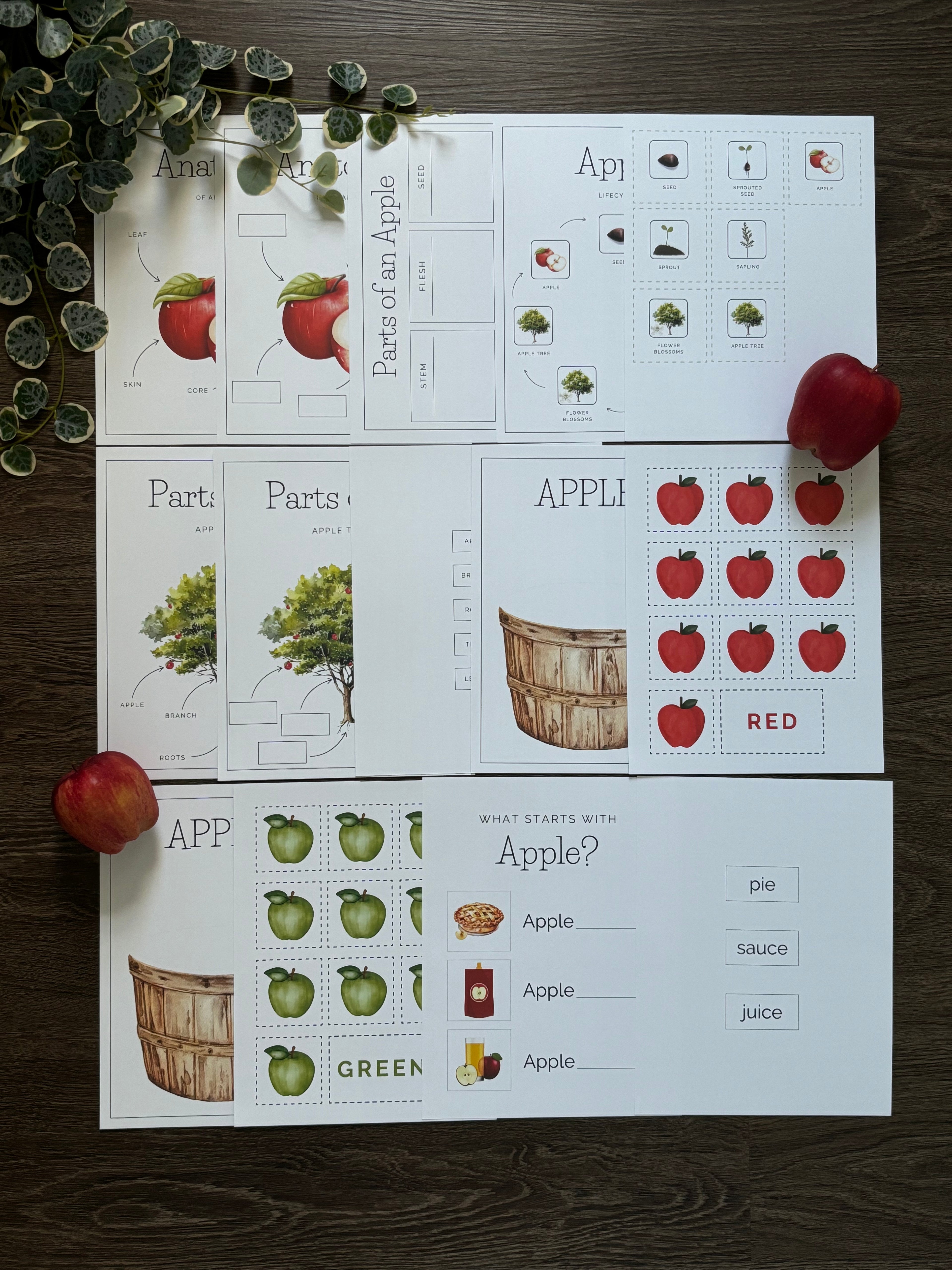 Homeschool Printable: Apple Unit Study