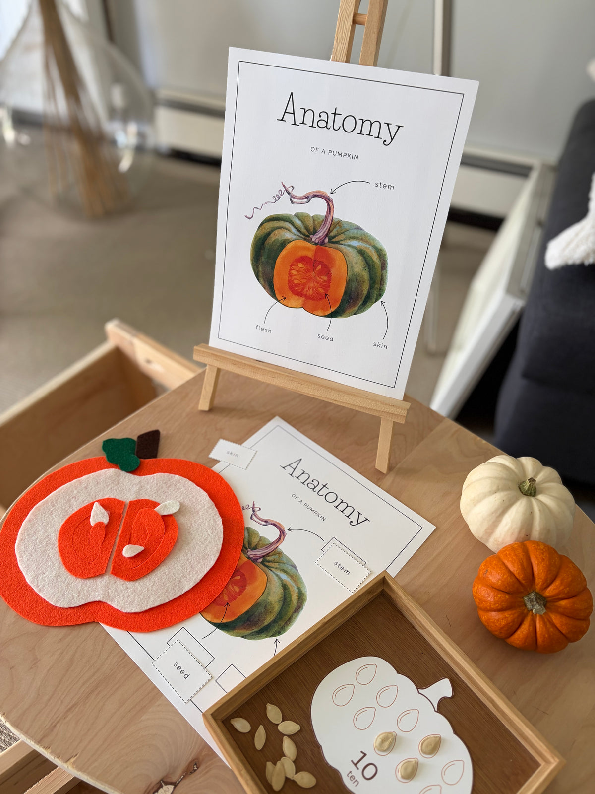 Homeschool Printable: Pumpkin Unit Study