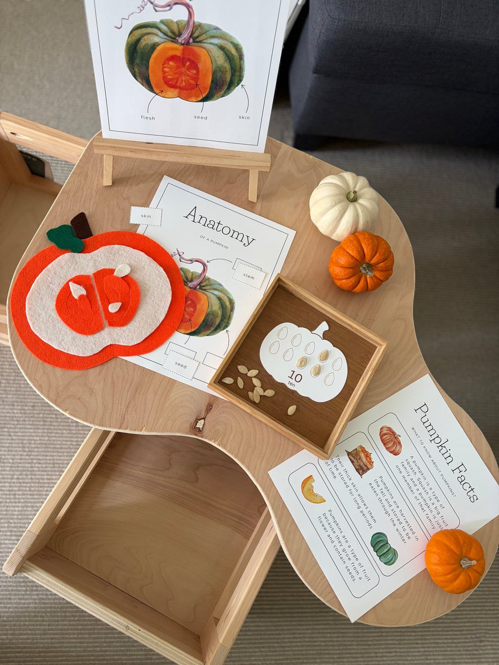 Homeschool Printable: Pumpkin Unit Study